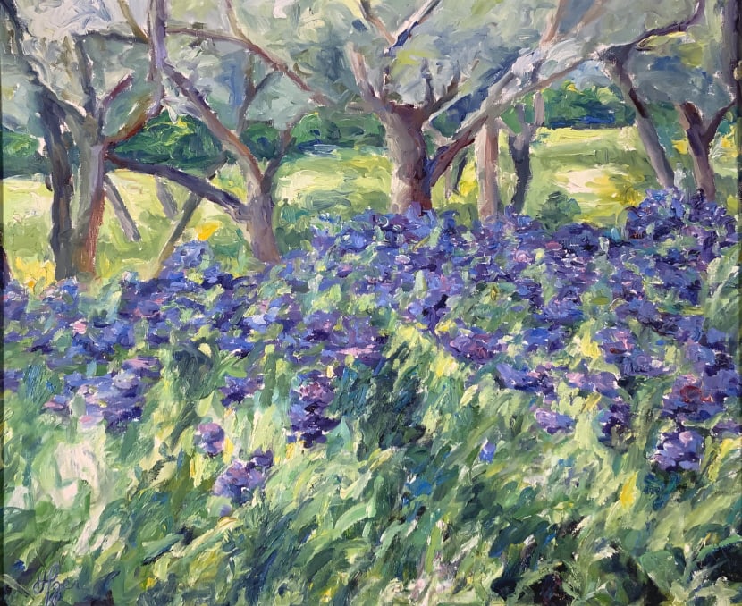 illegible signed, Field  full the colorful flowers (1 of 11)