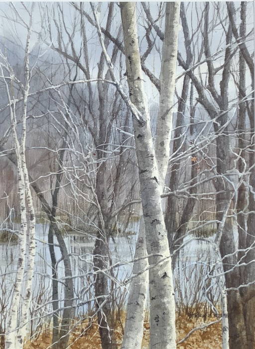 Patricia Browne, Birch trees by the water (1 of 7)