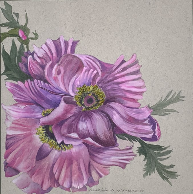Graziella Patrucco de Solodow, 2 artworks,: Graziella Patrucco de Solodow, 2 artworks,. 2 artworks: Peonies and Tropical fruit of Puerto Rico, watercolors on pastel paper Frame size: 13.75 x 13.50, 11.25 x 9.75. Title: Peonies, Tropical Fruit o