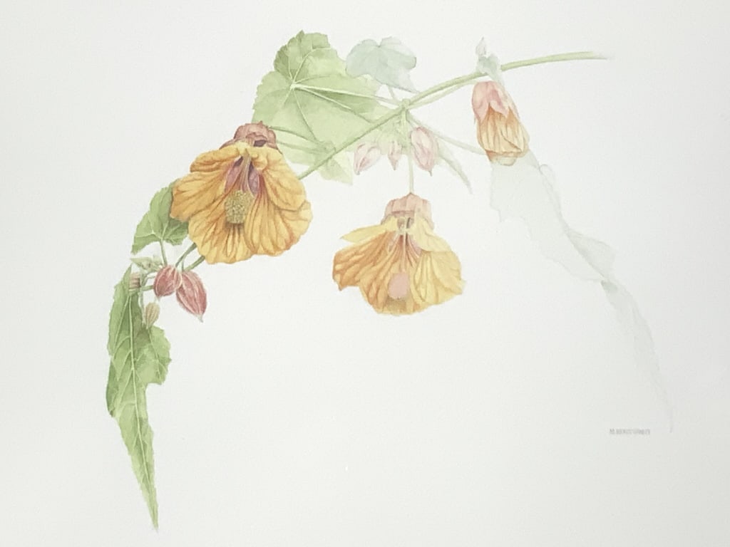 > Ready Conley, Flowers, watercolor (1 of 7)