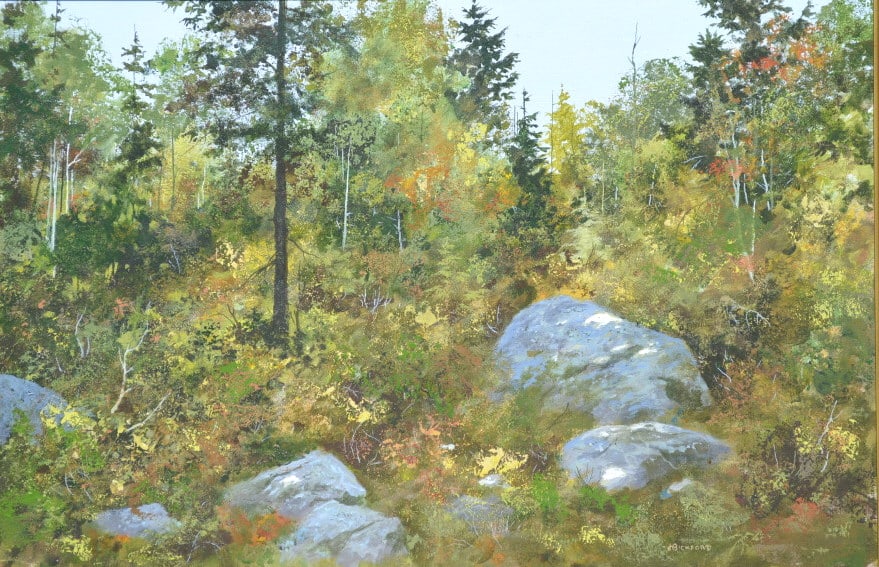 Bickford, Forest scene with boulders (1 of 5)
