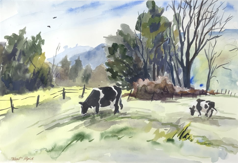 Robert Popick, Cows Grazing on summer day, crows (1 of 7)