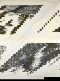 Davison, MCM, 1966, 2 artworks, Lithographs: Davison, MCM, 1966, 2 artworks, Lithographs. 5/5, 1/12 editions Paper size: 13 x 19. Title: Pleasant Valley Lady. Medium: Lithograph. Size: 9.50 x 13, 11 x 17 in. Signature: SLR. Artist: Davison. 