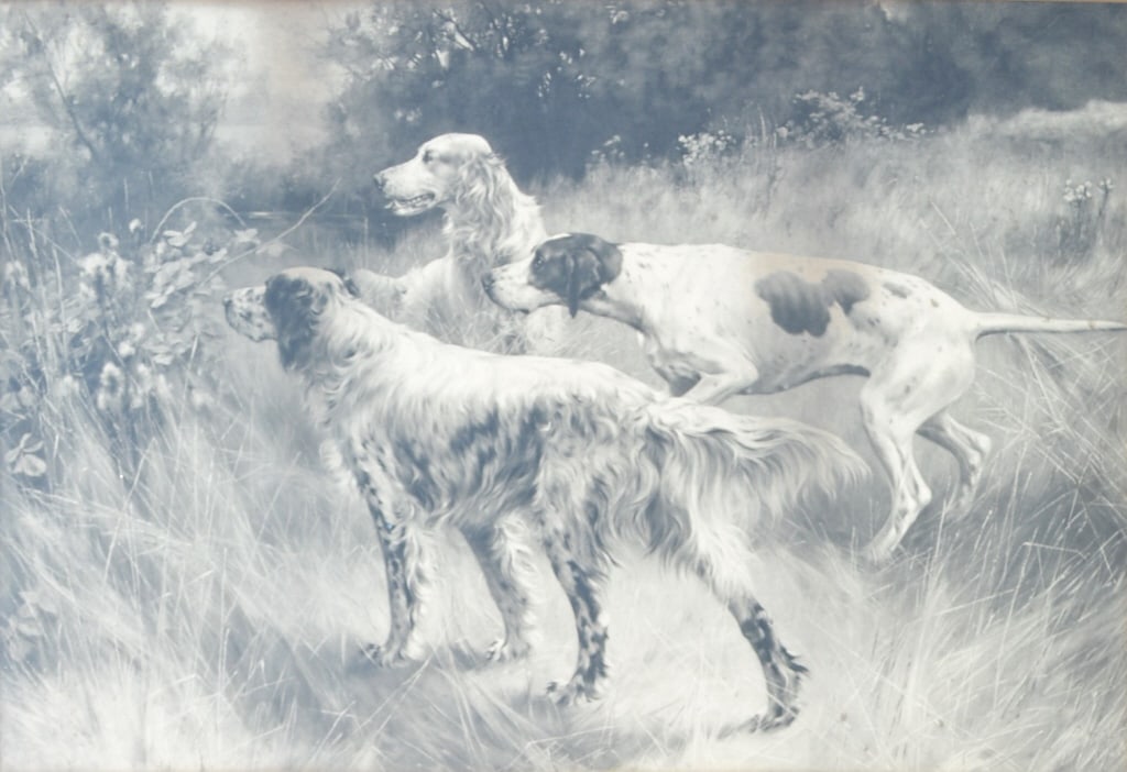 Thomas Blinks, English pointers, Photogravure,1895 (1 of 5)