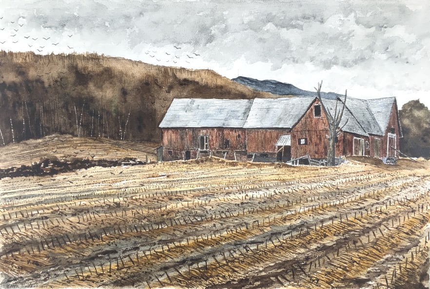 Ellen Howard, Ascutney, Vermont, 1979 (1 of 11)