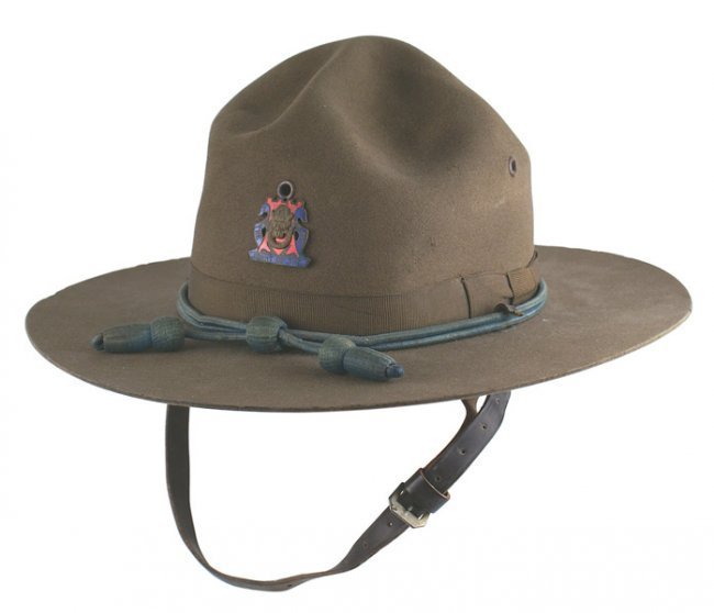 U.S. WWI Campaign hat. Enameled 14th Regiment (1 of 1)