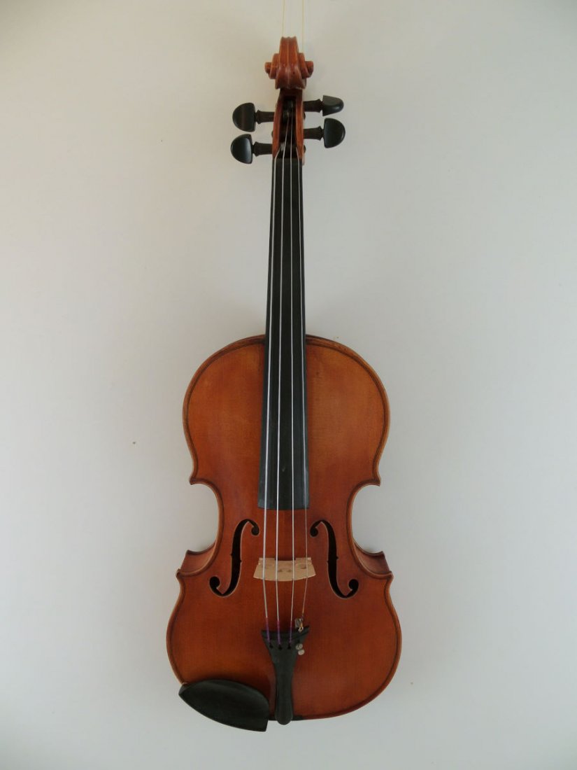 Viola (1 of 3)