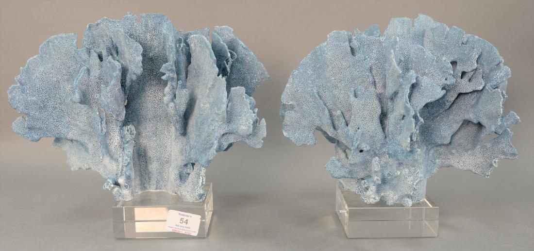 Pair of Blue Ridge natural sea coral specimen on Lucite (1 of 4)