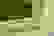 item-52607162=5