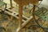 Plantation Timber teak extending table with built in - 4