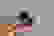 item-54241514=3
