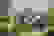item-56392683=3