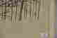 item-57609212=2
