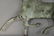 Copper horse weathervane, full body running horse with - 3