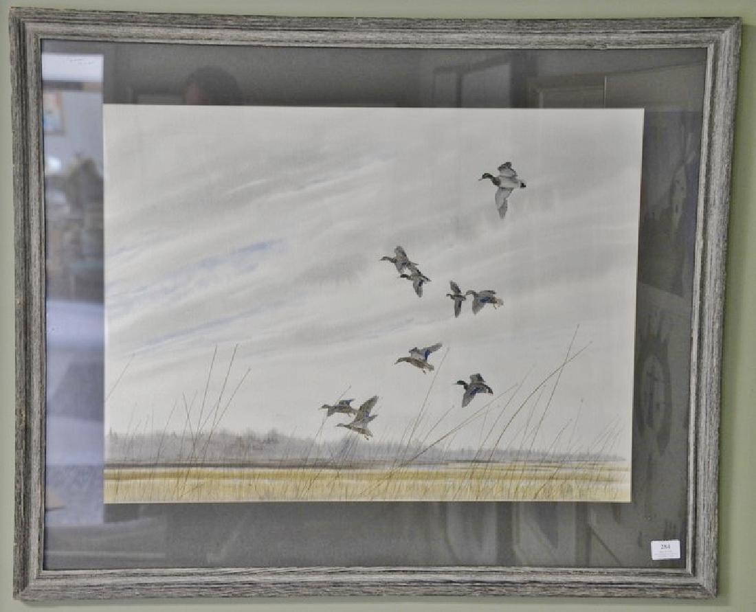 Andi Sue Irwin 1995 35mm By Bob Guccione