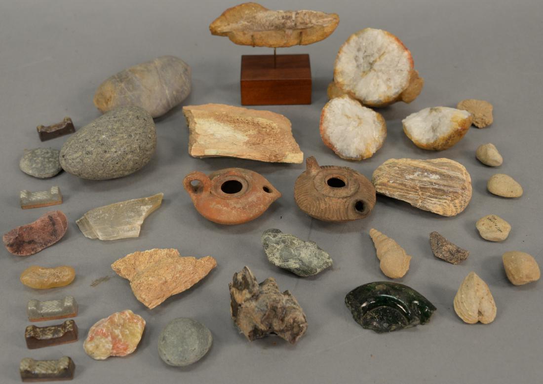 Tray lot of ancient and fossilized items to include two (1 of 8)