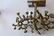 Bronze sculpture modern art of a tree. height 10 - 5