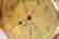 item-67422238=3