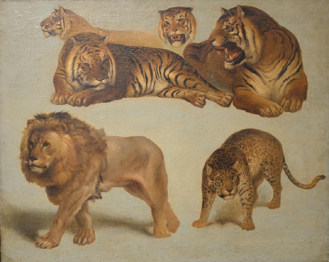 Study of Big Cats  Lion, Tiger, & Leopard,  unsigned, (1 of 4)