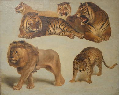 Study of Big Cats Lion, Tiger, & Leopard, unsigned,: Study of Big Cats Lion, Tiger, & Leopard, unsigned, 18th Century, 19 3/4" x 24 3/4" Provenance: Estate of Kenneth Jay Lane *No credit card payments will be accepted for silver, gold, or jewelry from b