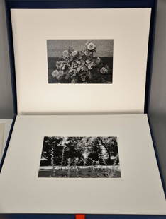 Lee Friedlander (b. 1934), "Photographs of Flowers by: Lee Friedlander (b. 1934), "Photographs of Flowers by Lee Friedlander", Graphic Studio/Haywire Press 1975 portfolio, portfolio of fifteen photographs, each signed and numbered on mount, limited editio