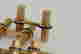 item-67422770=2