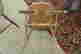 item-70261974=8