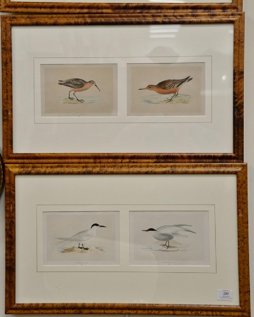 Set of ten colored lithographs in five frames of The: Set of ten colored lithographs in five frames of The History of British Birds by Reverend F.O. Morris, published in London by Groombridge & Sons (1851-1857), matted and framed by W. Graham Arader III