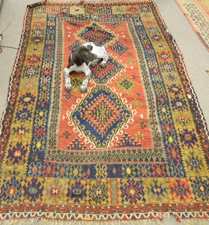 Kilim oriental throw rug, 4' 8" x 8' 4".: Kilim oriental throw rug, 4' 8" x 8' 4".