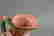 item-75547036=5