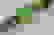 item-79085024=4