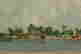 item-79085595=3
