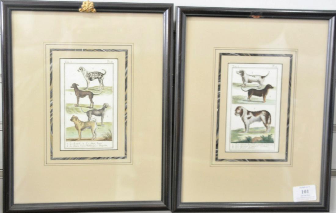 Group of eleven colored French animal engravings, to (1 of 4)