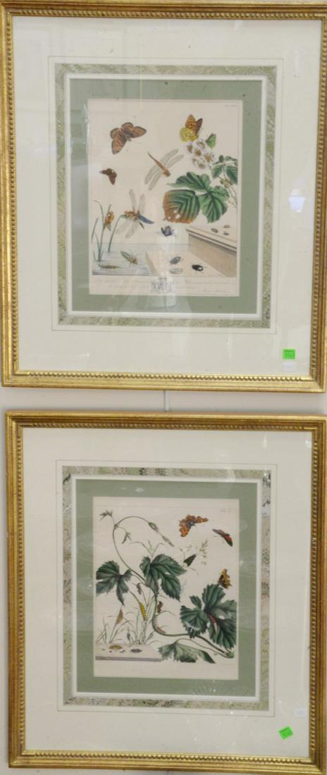 Group of seven 18th Century botanical colored (1 of 5)