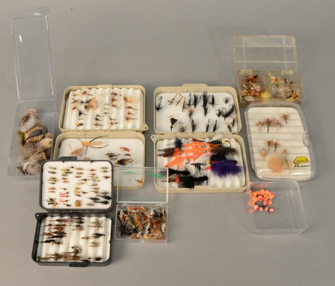 Tray lot of 8 containers, trout, steelhead and salmon (1 of 3)