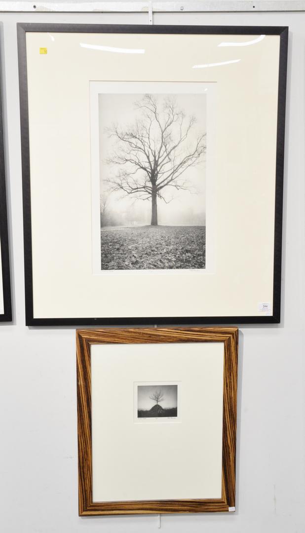 Set of four Ron Tarver prints, Rocks and Tree, 21 1/2" (1 of 6)