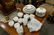 Royal Worcester Evesham 96 piece porcelain dinnerware - 7