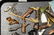 Tray lot of assorted collectibles to include leg and - 2