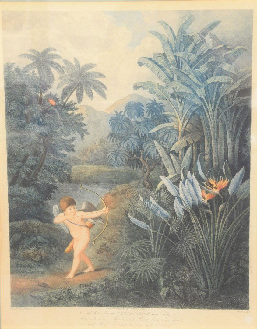 Burke Thomas colored engraving, cherub with bow "And (1 of 4)