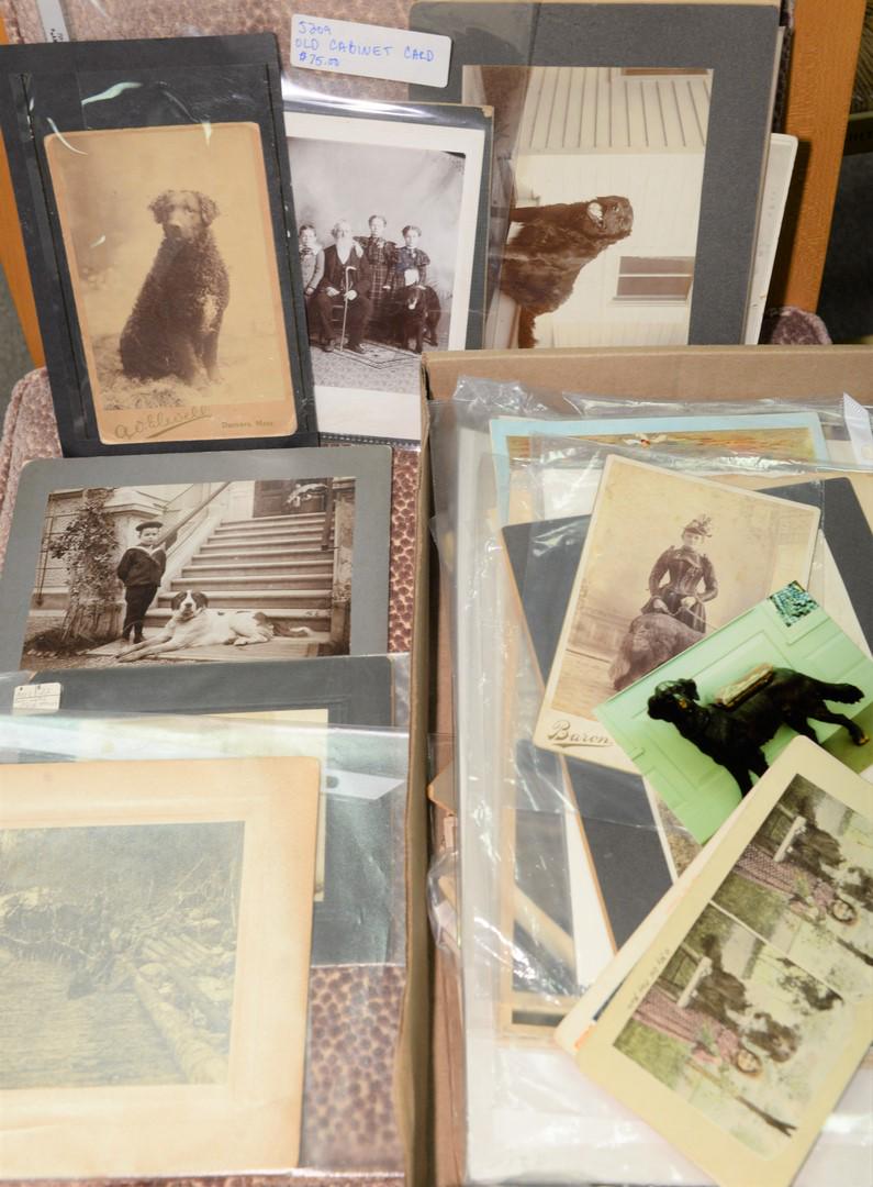 Two tray lots of dog ephemera photographs, tin types,: Two tray lots of dog ephemera photographs, tin types, CDV's, some with children along with Live Dog, 1931 calendar.