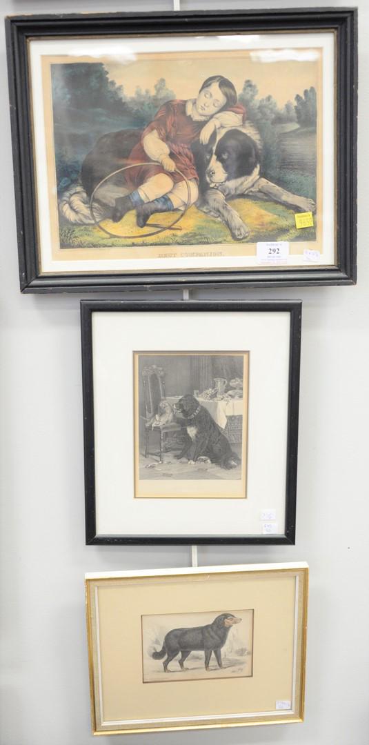 Collection of ten dog prints, engravings, paintings to: Collection of ten dog prints, engravings, paintings to include St. Bernard, 'Best Companion', 'Gute Greunde" along with "La Piece Curiouse", largest 22" x 14 1/2".