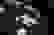 item-89758351=6
