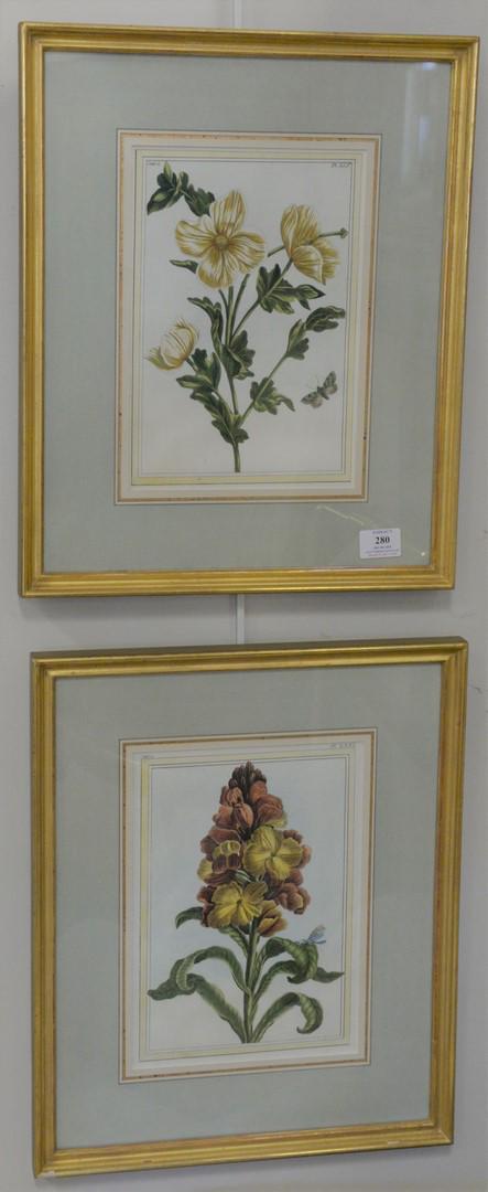 Pair of Pierre Joseph Buchoz (1731 - 1807), botanical (1 of 3)