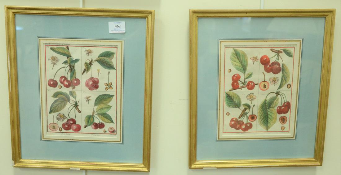 Six Botanical Fruit Engravings, each hand-colored, two (1 of 4)