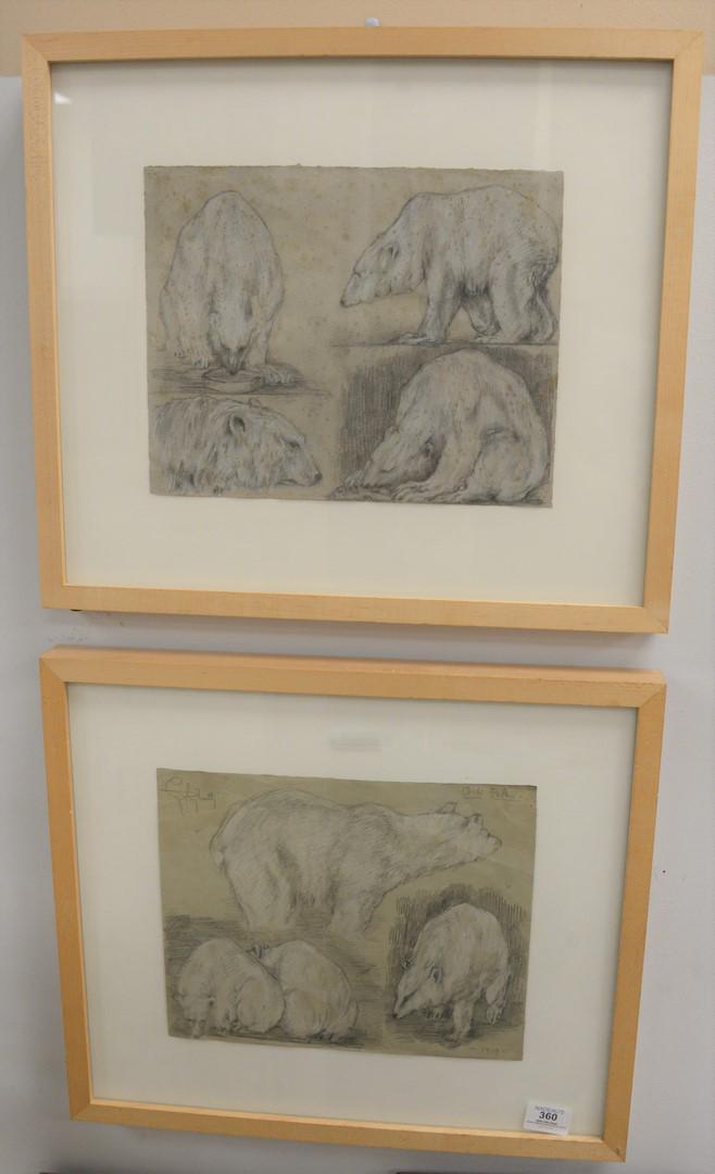 Two Framed Polar Bear Drawings, pencil and watercolor: Two Framed Polar Bear Drawings, pencil and watercolor on paper, one signed indistinctly upper left and dated '1919' lower right, the other unmarked, sheet size 9 3/4" x 11 3/4".