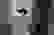 item-103293806=4