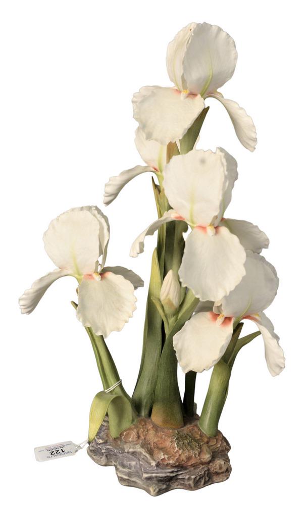 Boehm Porcelain Flower, Iris Silver Showers, limited (1 of 4)