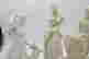 item-115703061=2