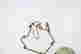 item-129552208=4
