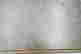 item-131455106=6